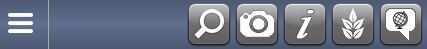 mobile sprite view